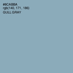 #8CABBA - Gull Gray Color Image